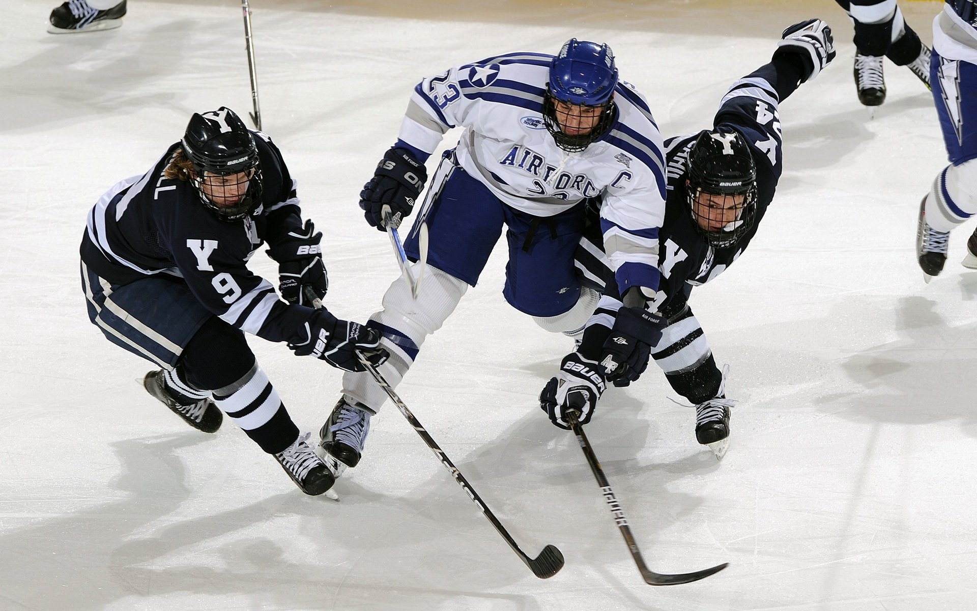 公牛球队合影曝光展现全新阵容活力满满，公牛的球队